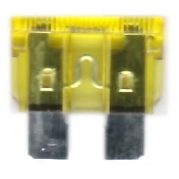 Flat 20A fuse