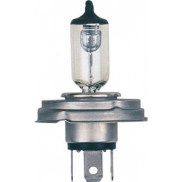 bulb H4 12V 100/55W P45t