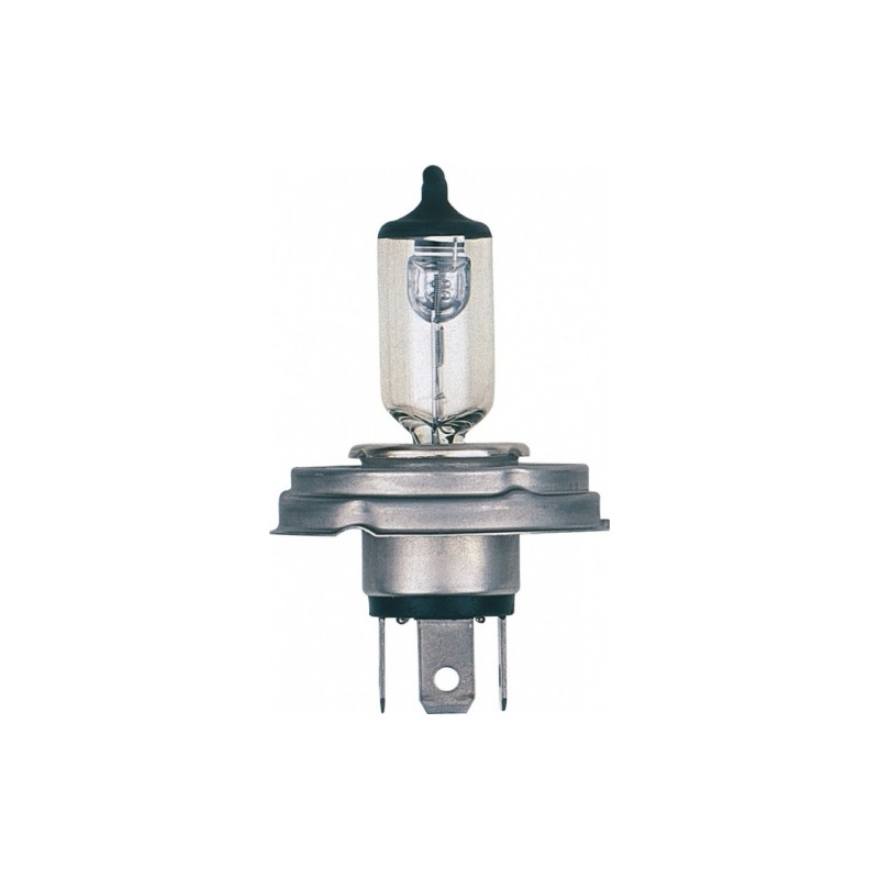 bulb H4 12V 100/55W P45t