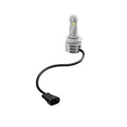 LED HB4 12-24V OSRAM set of 2 LEDs