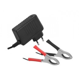 battery charger 12V 2100 mAh