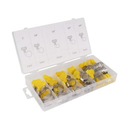 Set of hose clamps with key...