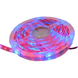 LED strip GROW 12V 10mm...