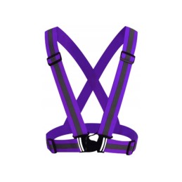 purple reflective harness