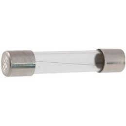 glass fuse 8A 6x30