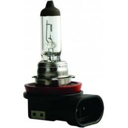 H8 12V 35W bulb PGJ19-1