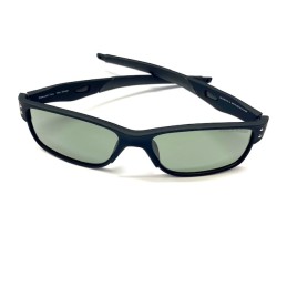 VISION POLARIZED glasses
