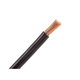 CYA 10 black wire