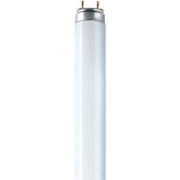 fluorescent lamp 36W G13...