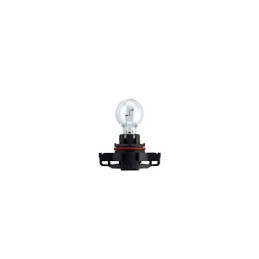 Bulb 12V 19W PG20 / 1...