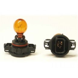 Bulb 12V 19W PG20 / 2...