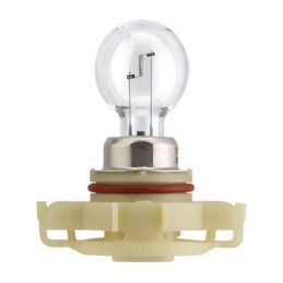 Bulb 12V 24W PG20 / 3...